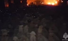 В Приморье сотрудники МЧС во время пожара спасли около 500 баранов  
