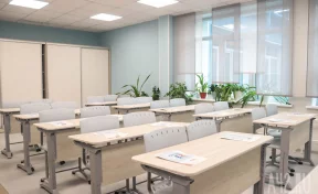 На месте нападения в подмосковной школе обнаружен муляж взрывного устройства