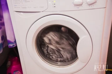 Фото: Кузбассовец украл стиральные машинки для коллеги, устав стирать его вещи 1