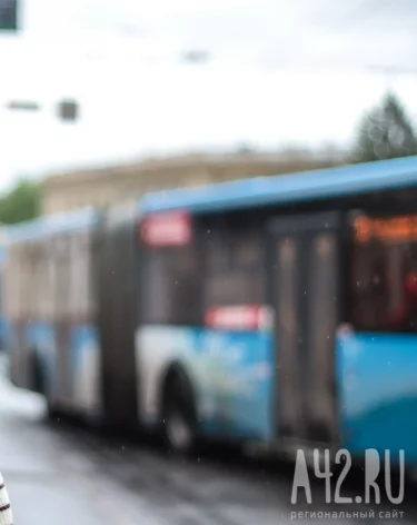 Фото: A42.RU