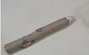 «Это осиновый кол»: омичка пришла в суд с необычным предметом в сумке