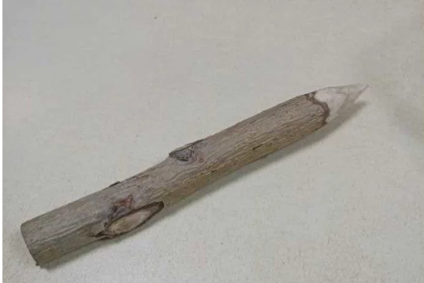 «Это осиновый кол»: омичка пришла в суд с необычным предметом в сумке