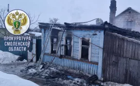 В Смоленской области семья погибла во время пожара в частном доме 