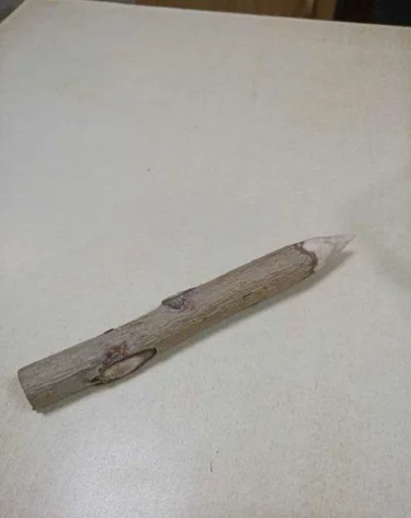 «Это осиновый кол»: омичка пришла в суд с необычным предметом в сумке