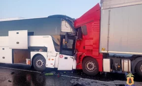 В Рязанской области в ДТП с рейсовым автобусом и грузовиком погиб один человек и 13 пострадали