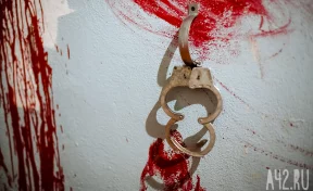 В Истре преступники удерживали и пытали подростков под видом оказания помощи