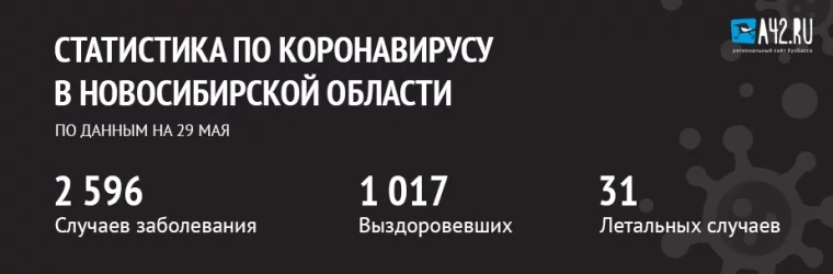 Фото: Коронавирус в Новосибирской области: актуальная информация на 29 мая 1