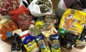 Кемеровские общественники собрали более 20 килограммов корма для бездомных животных