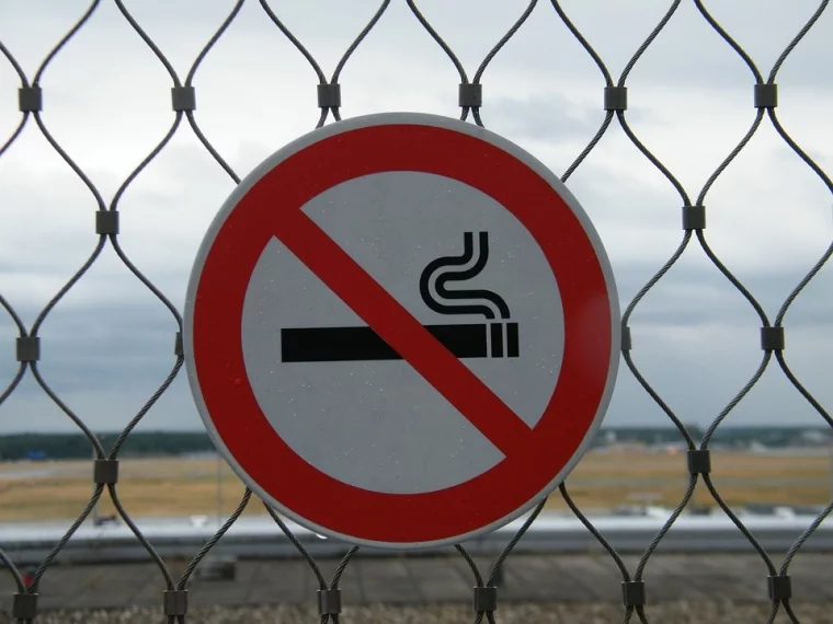 Фото: Нелегальный табак: как поддельная продукция попадает на прилавки 1