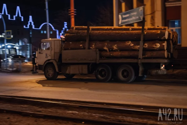 Китай, Вьетнам и Монголия: в Россельхознадзоре рассказали, куда продают кузбасский лес