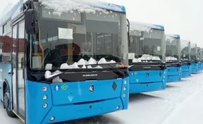 В Кузбасс поступила новая партия из 24 автобусов