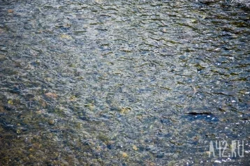 Фото: Уровень воды в Тоболе продолжает расти: в Кургане он достиг 704 сантиметра 1