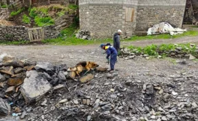 В Дагестане ищут пропавшего четырёхлетнего ребёнка