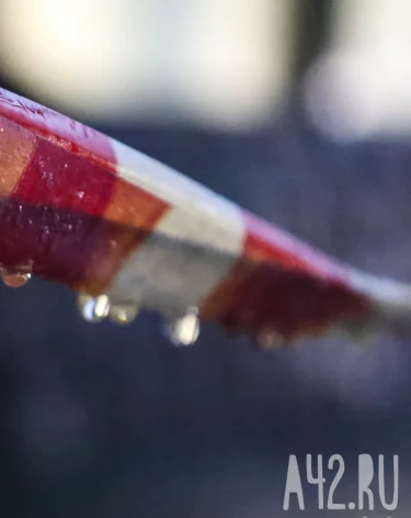 «Должны были сделать в 2022-м»: кемеровчанин пожаловался на слишком долгий ремонт ДК