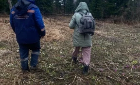 Женщина пошла за колбой и заблудилась в лесу в Кемеровском округе