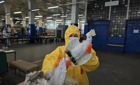 В Москве таможенники обнаружили посылку с радиоактивным попугаем из Германии