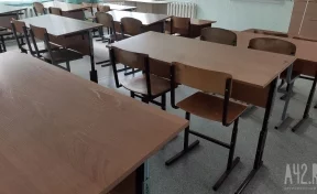В Кемерове учительница оскорбляет школьников: СК и прокуратура начали проверки