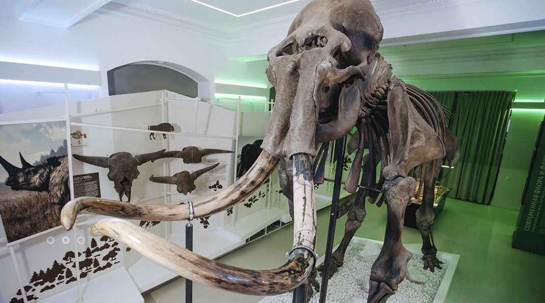 Украшения телеутов, тяжёлый рок и динозавры: куда сходить в Кузбассе на Ночь музеев — 2023