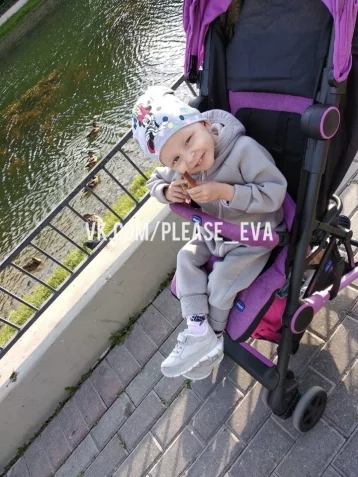 Фото: С помощью губернатора: двухлетняя кемеровчанка Ева Грабовская отправится на лечение в Германию 1