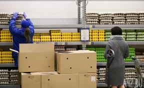 В Кузбассе цены на яйца за год упали на 20%