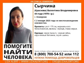 Фото: В Кемерове разыскивают черноволосую женщину в сером пальто 1