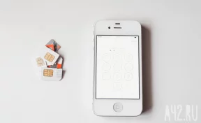 В Минцифры подтвердили переход на авторизацию в «Госуслугах» через MAX