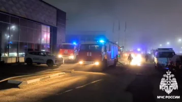 Фото: В МЧС показали кадры тушения пожара в автосалоне в Воронежской области 1