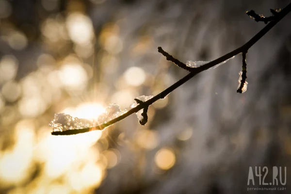 Матрёна Зимняя: народные приметы на 22 ноября