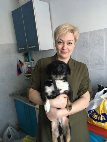Фото: Кемеровские общественники собрали более 20 килограммов корма для бездомных животных 1