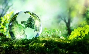 РСХБ и Росприроднадзор договорились о проведении совместных мероприятий в сфере экологии в 2023 году