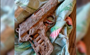Кузбасские фермеры нашли под плугом заряженный пистолет немецкого производства