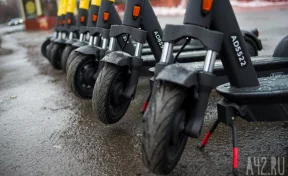 В подмосковном городе запретили электросамокаты