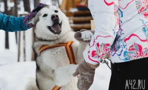 Синоптики: весна в Кузбассе начнётся с морозов до -39