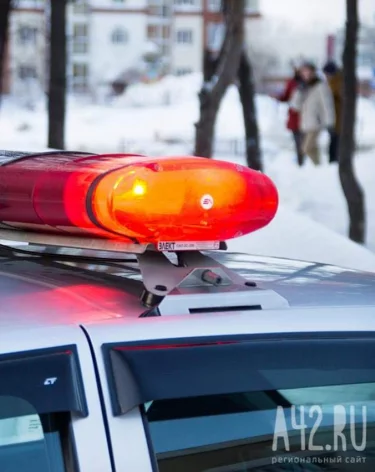 Фото: А42.RU