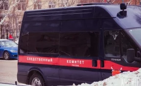 В СК после критики Кадырова показали видео нападения чеченского подростка