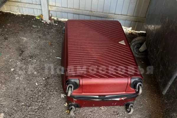 В Красногорске в 2 чемоданах обнаружили расчленённое тело женщины