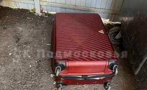 В Красногорске в 2 чемоданах обнаружили расчленённое тело женщины