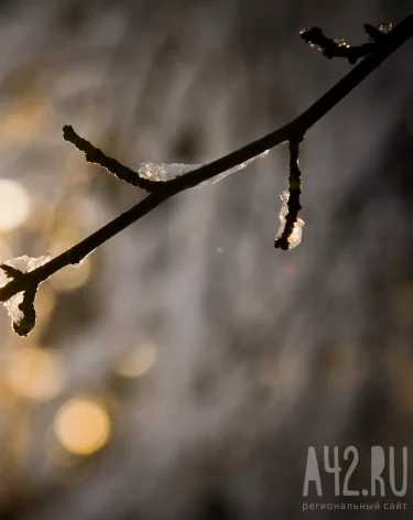 Матрёна Зимняя: народные приметы на 22 ноября