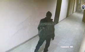 В Москве задержан подозреваемый в растлении 8-летней девочки