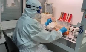 В Кемерове открылась новая лаборатория по тестированию на COVID-19