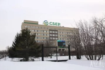 Фото: Сибиряки разместили на накопительных счетах в Сбере больше четверти триллиона рублей 1