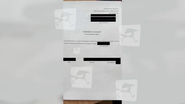 Фото: «Нас выпнули на улицу, как котят». В кемеровской компании от 200 человек потребовали уволиться вместо сокращения штата — почему это может быть незаконно 4