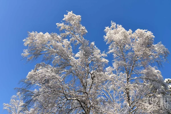 В Кузбассе в начале февраля вновь похолодает до -37