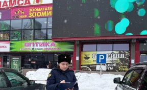 На Камчатке лёд с крыши ТЦ упал на подростка