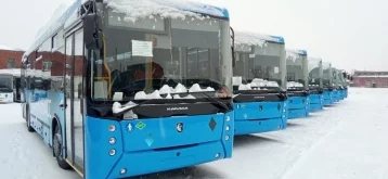 Фото: В Кузбасс поступила новая партия из 24 автобусов 1