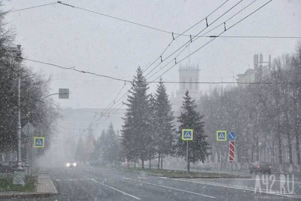 Погода на Новый год, Ла-Нинья и температурные качели: какой будет зима 2025 года в Кузбассе