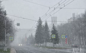 Погода на Новый год, Ла-Нинья и температурные качели: какой будет зима 2025 года в Кузбассе