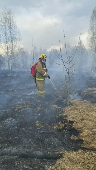 Фото: В Кемерове пожарные и спасатели 4 часа тушили горящую траву в СНТ «Радуга» 1