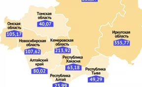 Кузбасс вошёл в топ-3 регионов Сибири по объёмам поддержки соцработников