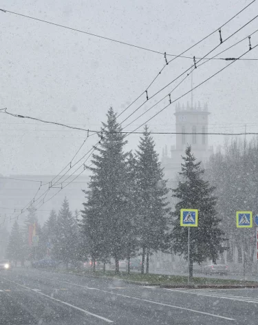 Погода на Новый год, Ла-Нинья и температурные качели: какой будет зима 2025 года в Кузбассе